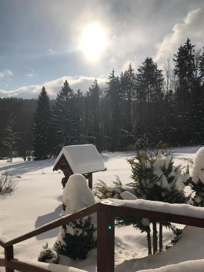 Na Planyrce Hotel Paseky nad Jizerou Exterior foto