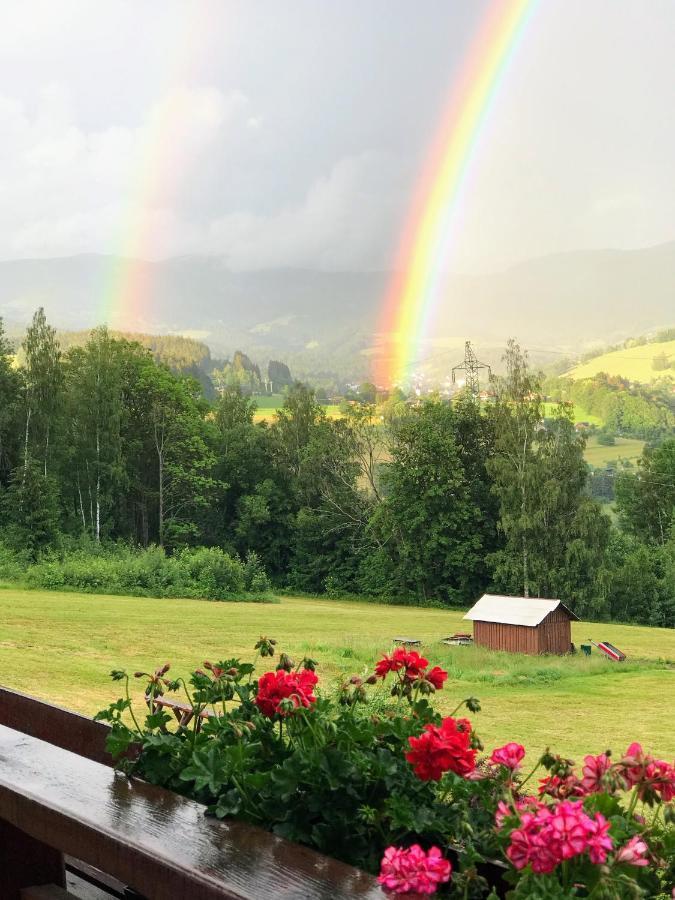 Na Planyrce Hotel Paseky nad Jizerou Exterior foto